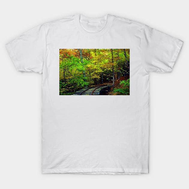 Train Tracks into the Woods T-Shirt by Rodwilliams